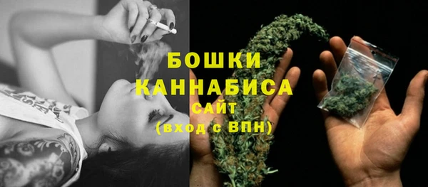 шишки Баксан