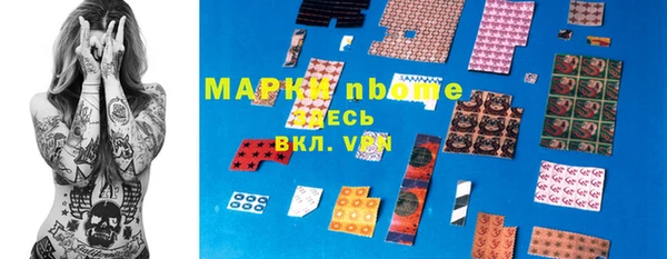 шишки Баксан