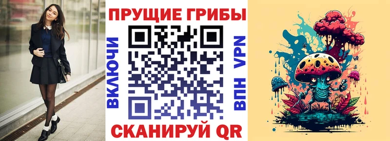 Псилоцибиновые грибы Cubensis  как найти закладки  Заинск 